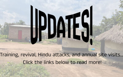 Updates from Shepherd 23:1